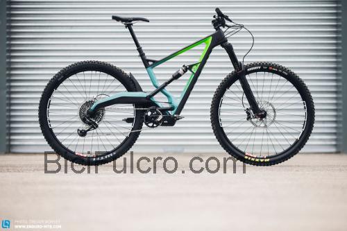 Marin Wolf Ridge scheda tecnica e recensioni